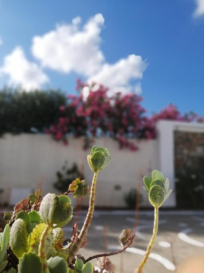 Mouras Resort Livadi (Astypalaia) Exterior foto